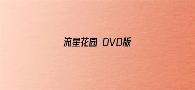 流星花园 DVD版